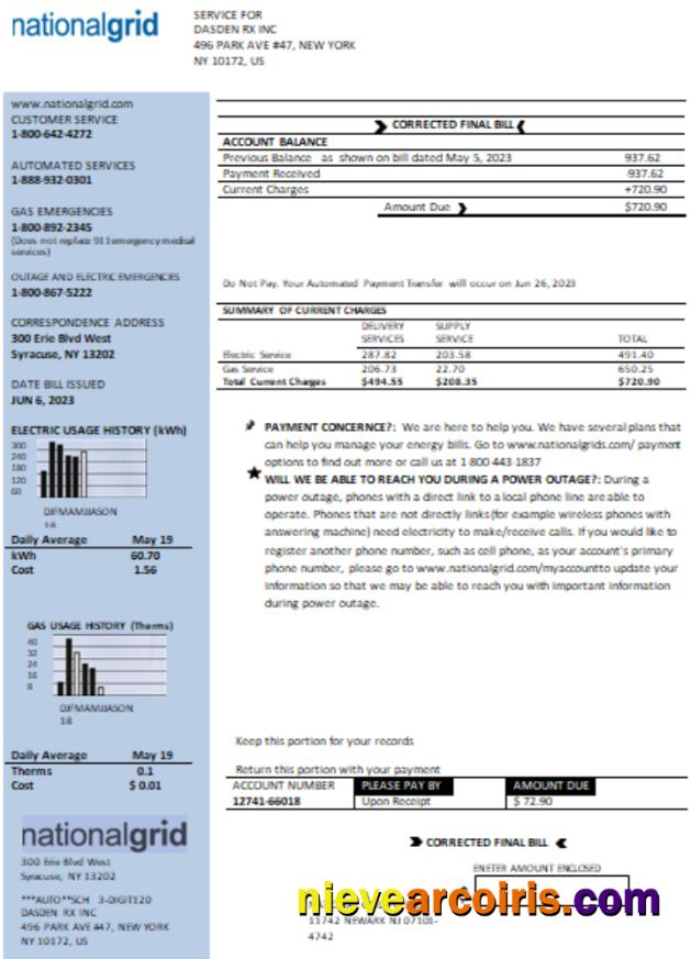 New York National Grid utility business bill